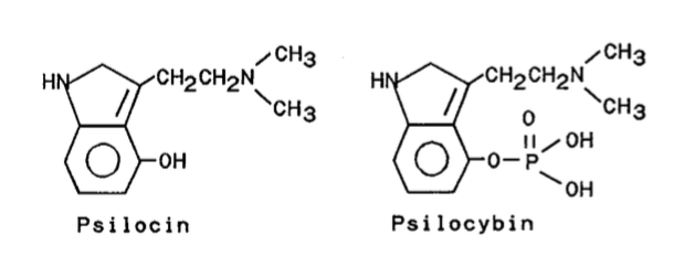 Molekülstrukturen von Psilocybin und Psilocin