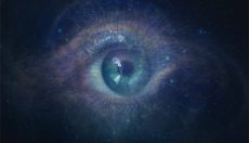 Magic Mushrooms Trip Report: Begegnung mit Entitäten (Update 2026)