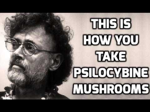 Verantwortungsvoller Umgang mit Magic Mushrooms