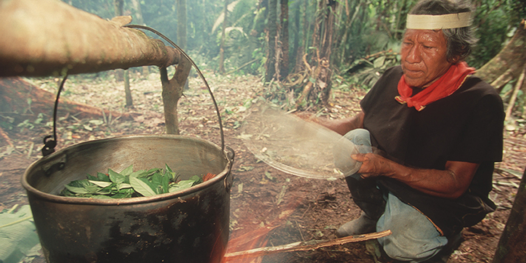 Ein Schamane in der Region Coafan kocht Blätter wegen ihrer psychoaktiven Eigenschaften, wie sie bei Ayahuasca verwendet werden, Ecuador, 2009. (Foto: Wade Davis/Getty Images)