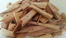 Palo Santo Heiliges Holz: Geschichte, Anwendung & richtig anzünden