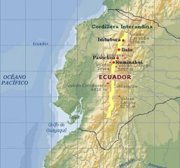 Zauberpilze aus Ecuador