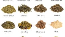 Natürliche Kräuter Kollektion: Dein Guide zu den Botanicals