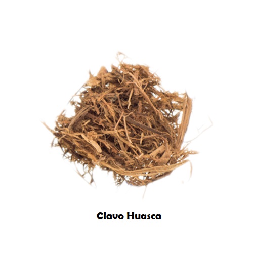 Clavo Huasca natürliches Aphrodisiakum Kraut