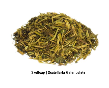 natürliche Aphrodisiaka pflanzliches Kraut