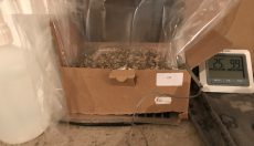 grow kit and heating mat grow kit and heating mat