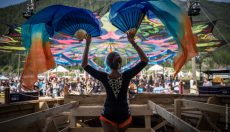 Magic Mushroom Trip Levels: Die 5 Stufen, die du kennen solltest