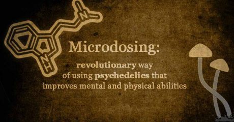 Person schreibt in ein Notizbuch – Psilocybin-Microdosing-Anleitung für Anfänger