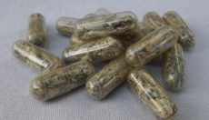 Magic Truffles und getrocknete Pilze für die Psilocybin-Microdosing-Anleitung