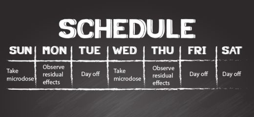 Übersicht Microdosing-Plan – Protokolle der Psilocybin-Microdosing-Anleitung