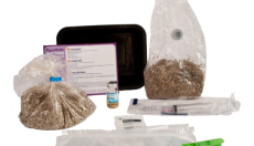 Grow Kits ohne Myzel: Sterilisierte Beutel für volle Kontrolle bei der Zucht