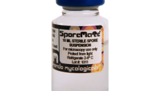 Magic Mushroom Sporen-Vial richtig verwenden: Kompletter Guide (Update 2026)