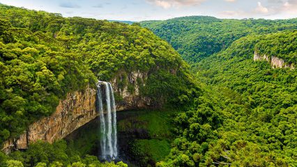 Amazonas