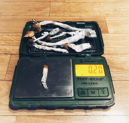 Psilocybin-Forschung bei Zwangsstörungen und Essstörungen: Untersuchungen im Frühstadium