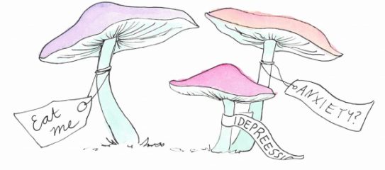 Die Heilkraft von Magic Mushrooms: Was die Psilocybin-Forschung 2026 sagt