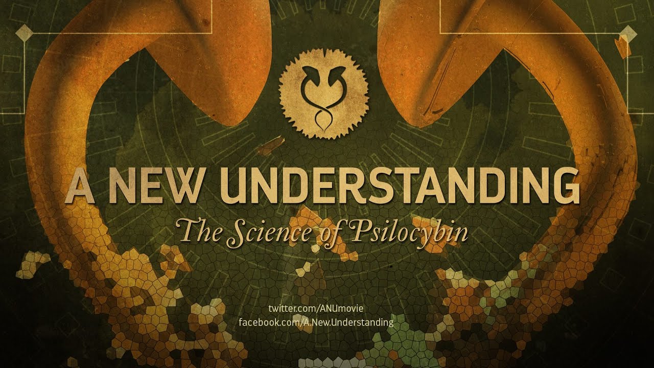 Psychedelika Dokus: Fantastic Fungi, Film über Psilocybin-Forschung