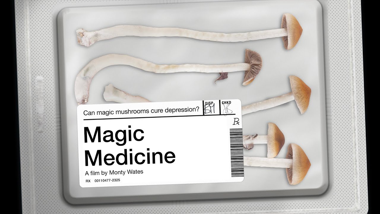 Psychedelika Dokus: Magic Medicine, Psilocybin-Studie am Imperial College gegen Depression