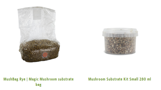 Substratbeutel und Growkit-Bestandteile zum Magic Mushrooms selbst züchten – alles, was du brauchst, ist in der Box