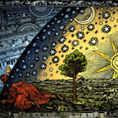 Terence McKennas Theorien: Stoned-Ape-Theorie und Psilocybin