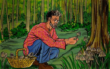 Terence McKenna: Der Pate der Psychedelik-Kultur