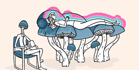 Phasen der psychedelischen Integrationstherapie