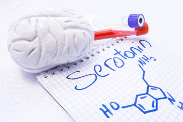 Serotonin-Rezeptoren Gehirn Schaubild Psilocybin ohne Halluzinationen