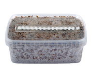 kit de culture de champignons magiques