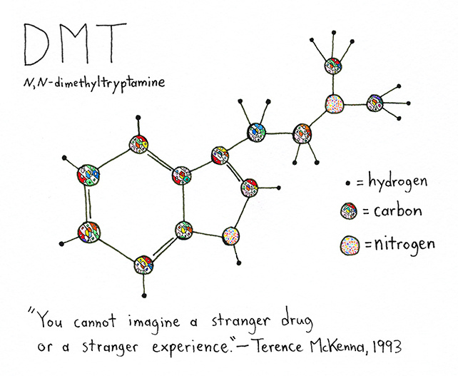 Structure moléculaire du DMT — le principal composé visionnaire de l'ayahuasca