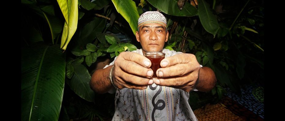 Guérisseur amazonien préparant une plante médicinale dans un cadre traditionnel
