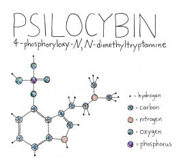 Psilocybine