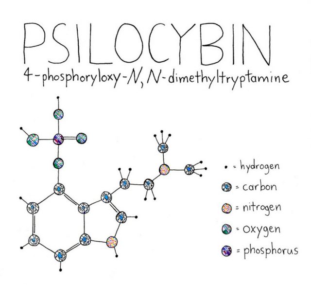 Psilocybine