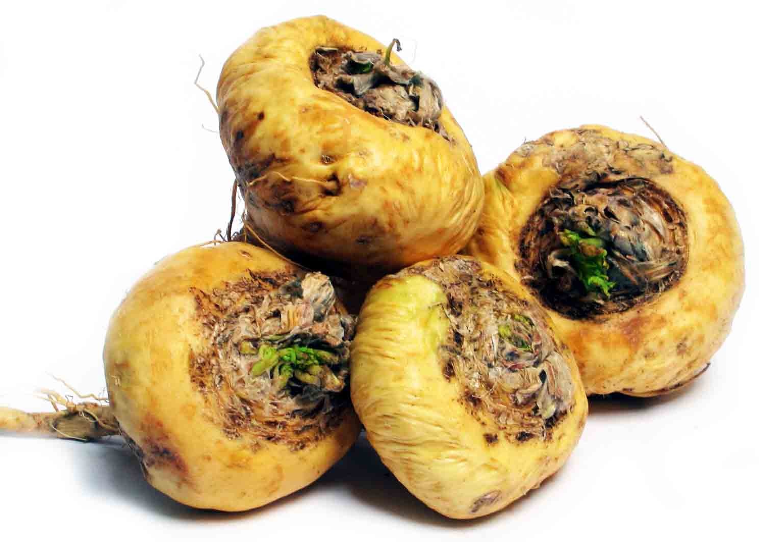 racine de maca, plante aphrodisiaque naturelle