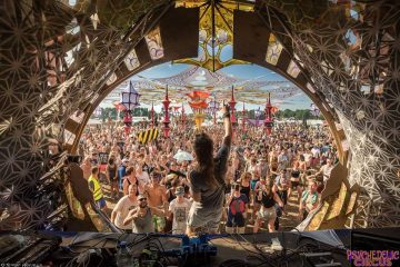 Trip social de niveau 1 – ambiance de festival