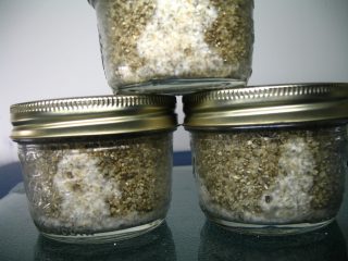 fiole de spores de champignons magiques pf tek