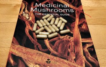 Ce que dit la science sur les compléments de champignons fonctionnels et la santé immunitaire