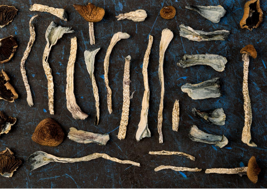 María Sabina avec des champignons sacrés à psilocybine