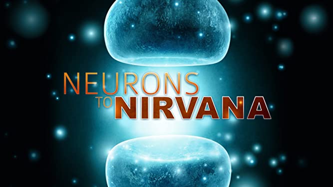 documentaires psychédéliques Neurons to Nirvana recherche LSD psilocybine MDMA