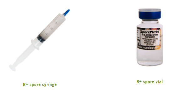 Spore syringe and spore vial — the starting point for advanced cultivation when you grow your own magic mushrooms from scratch
