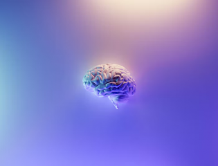 cerveau sous champignons