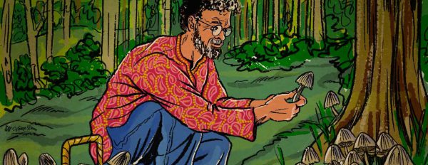 Terence McKenna : le parrain de la culture psychédélique