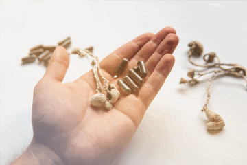 gros plan sur des champignons à psilocybine