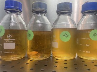 Culture liquide pour champignons magiques — Le guide complet pour débutants