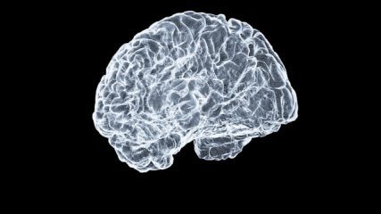 Ce que tous les psychédéliques ont en commun : la plus grande étude sur le cerveau jamais réalisée