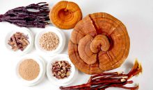 Reishi: De paddestoel van onsterfelijkheid