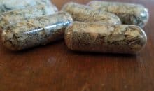 Microdosing Handleiding: Paddo's en Truffels