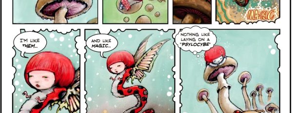 Amanenita Girl 2: The magic ladybug
