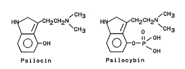 Psilocin and Psilocybin moleculs