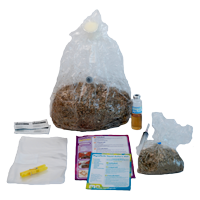 Grow Kit ohne Mycelium