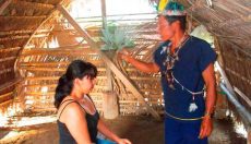 Ayahuasca: A Learning and Healing Spiritual Journey