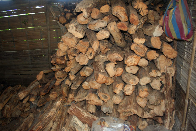 Store and dry Palo santo wood